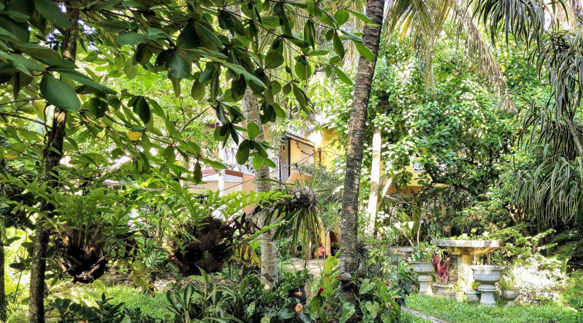 Seashore Mirissa Exterior photo